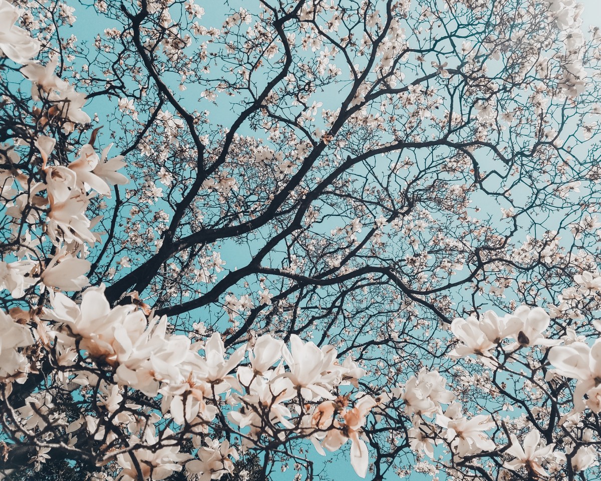 How I Ended Up&nbsp;Here