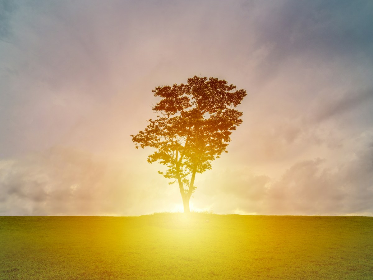 Homily: Ideas and Questions about&nbsp;Resurrection