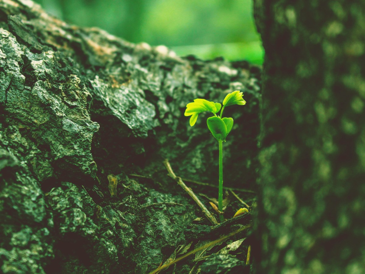 Easter Homily: How Does the Risen Lord Relate to&nbsp;Us?